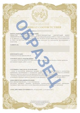 Образец Сертификат СТО 01.064.00220722.2-2020 Искитим Сертификат СТО 01.064.00220722.2-2020 